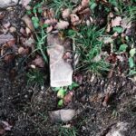 UGG Classic Ultra Mini Sand Stone